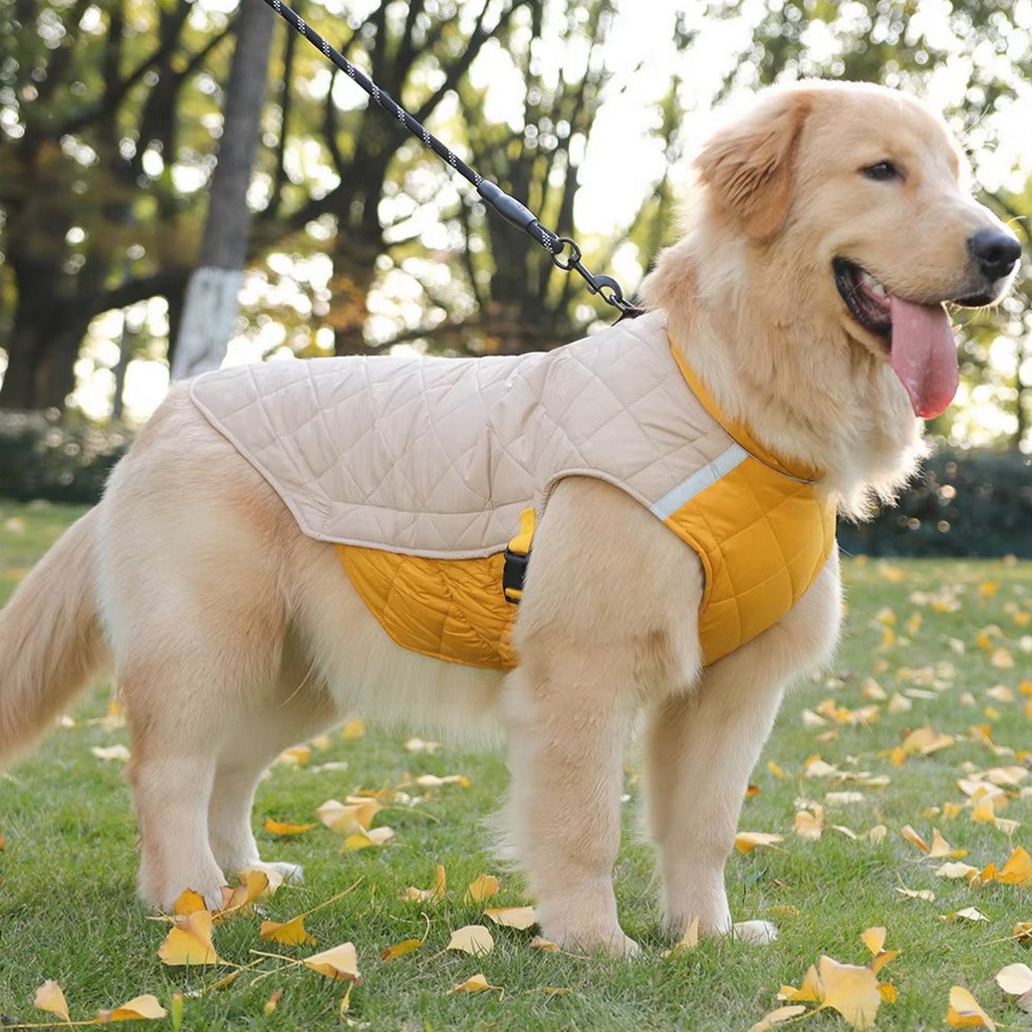 Manteau XXL pour gros chien