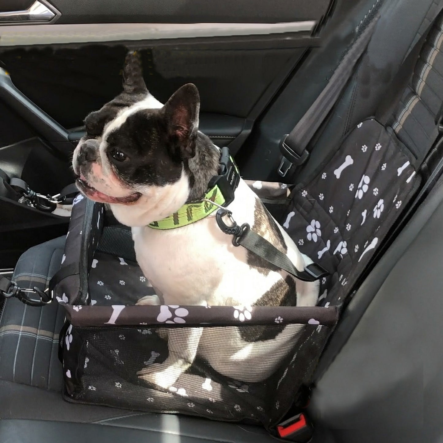 Siège auto chien