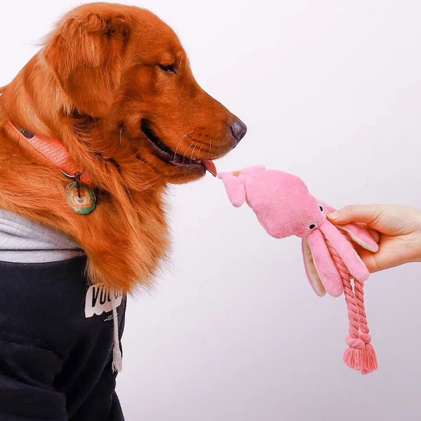 Chien jouet poulpe rose