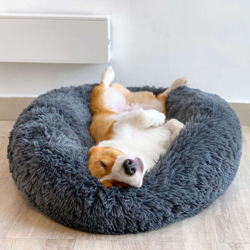 Panier pour chien gris
