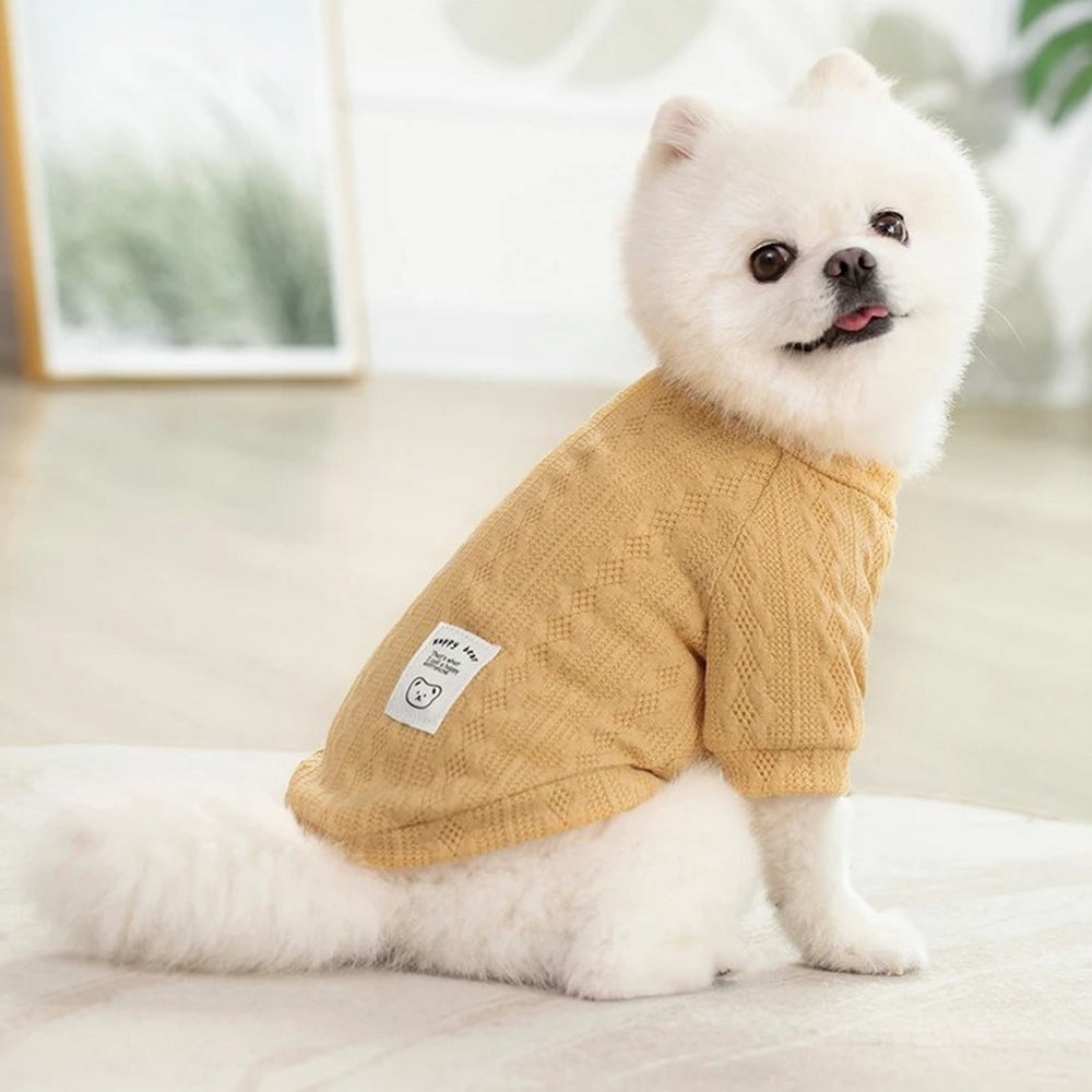 Pull mignon pour chien