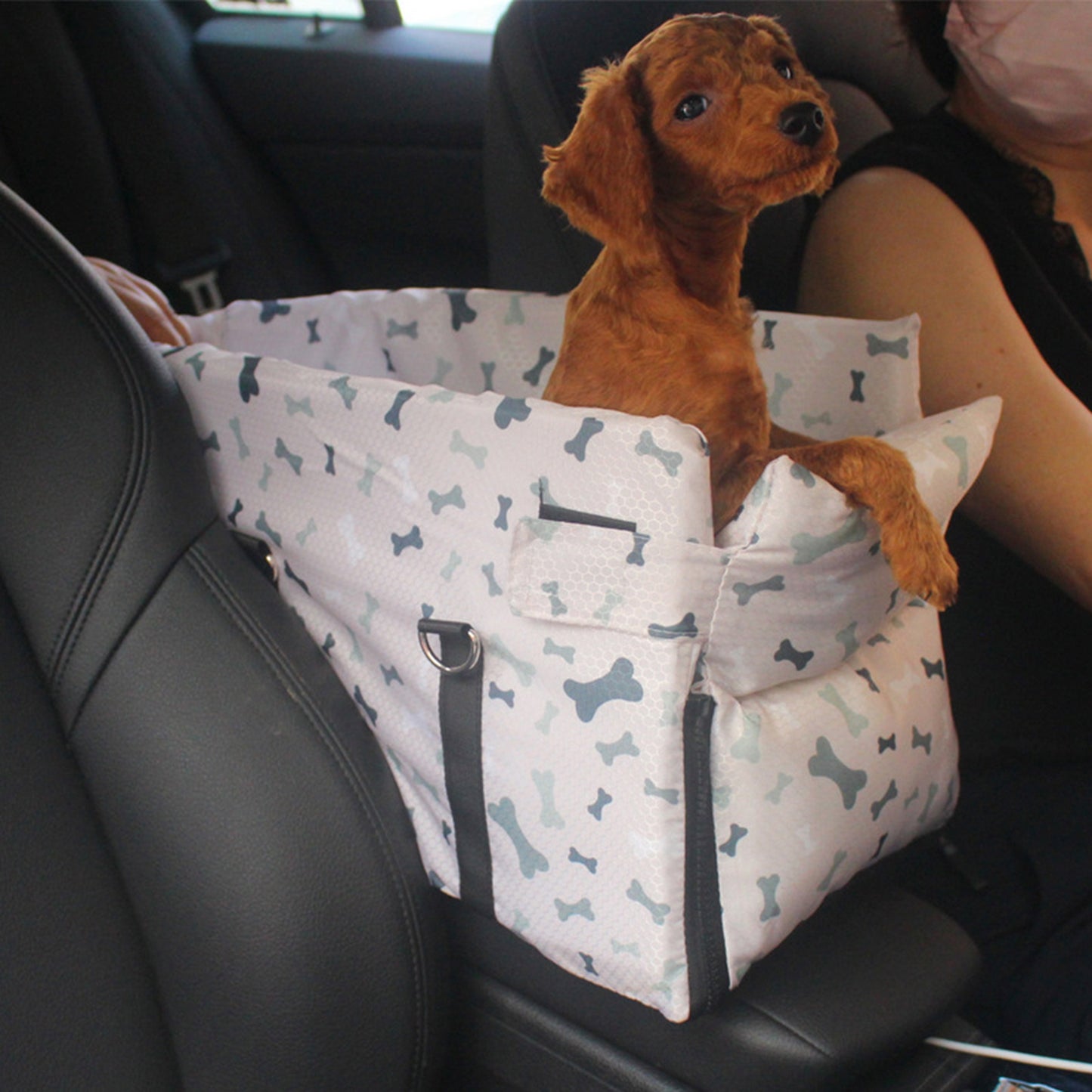 siège auto chien