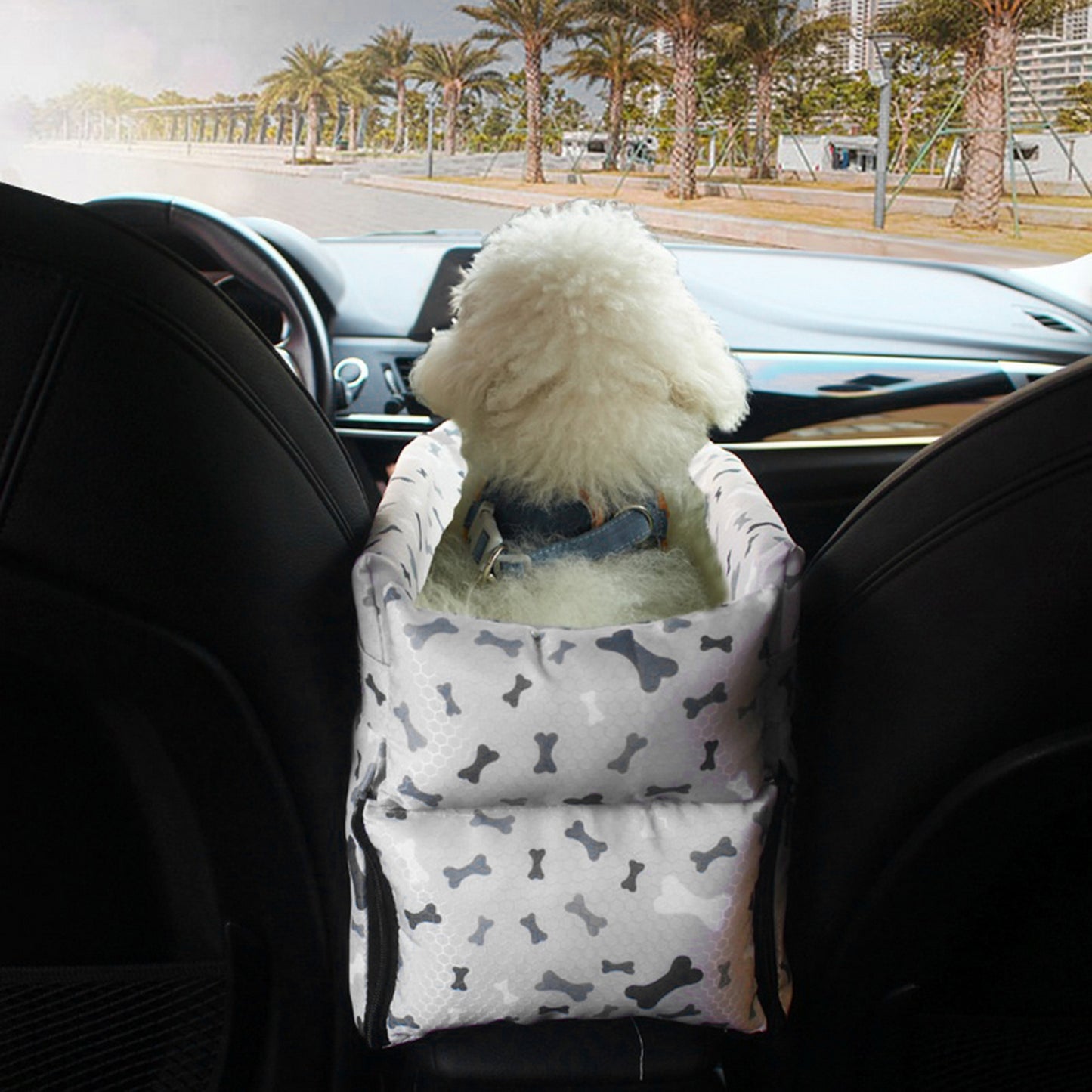 Protection voiture chien