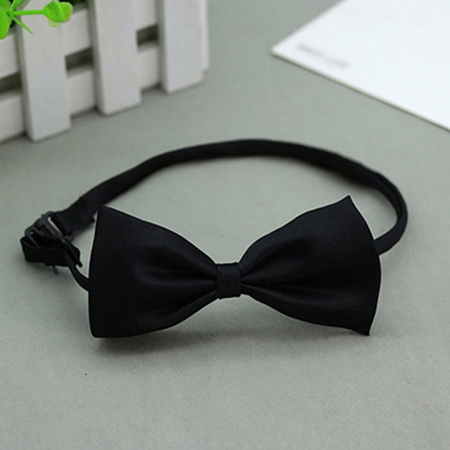 Accessoire pour chien nœud papillon