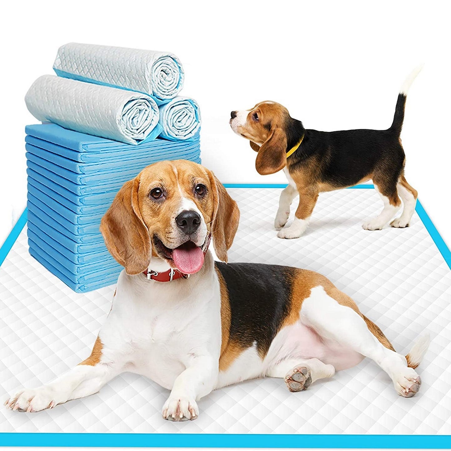 Alaise pour chien urine sol