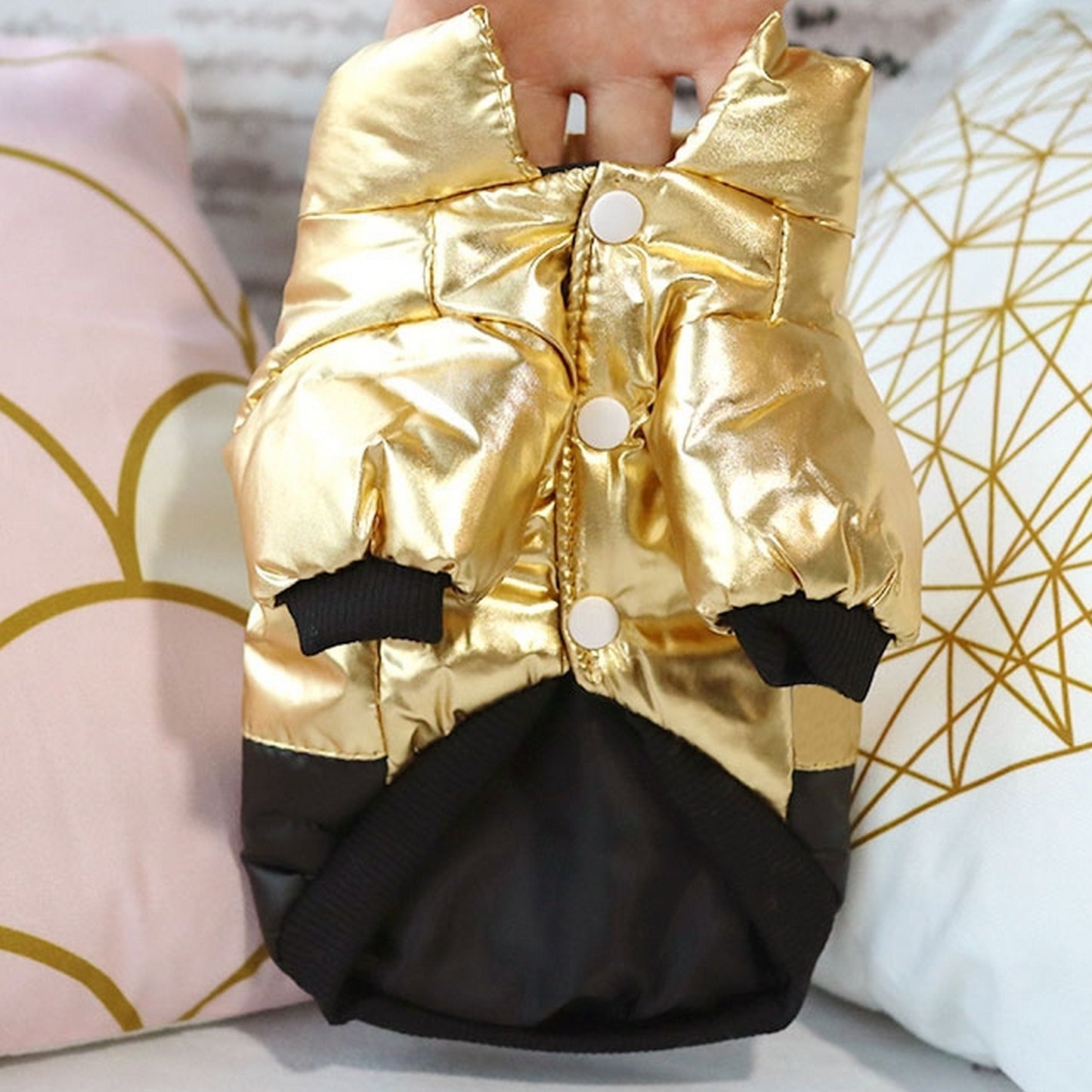Anorak brillant pour chien