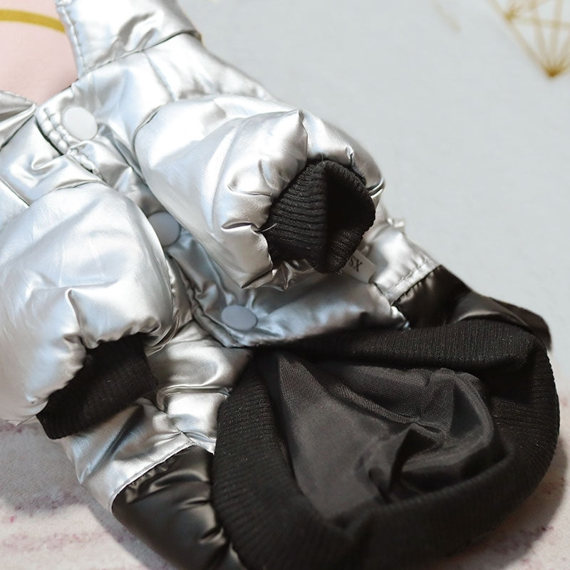 Blouson stylé pour chien