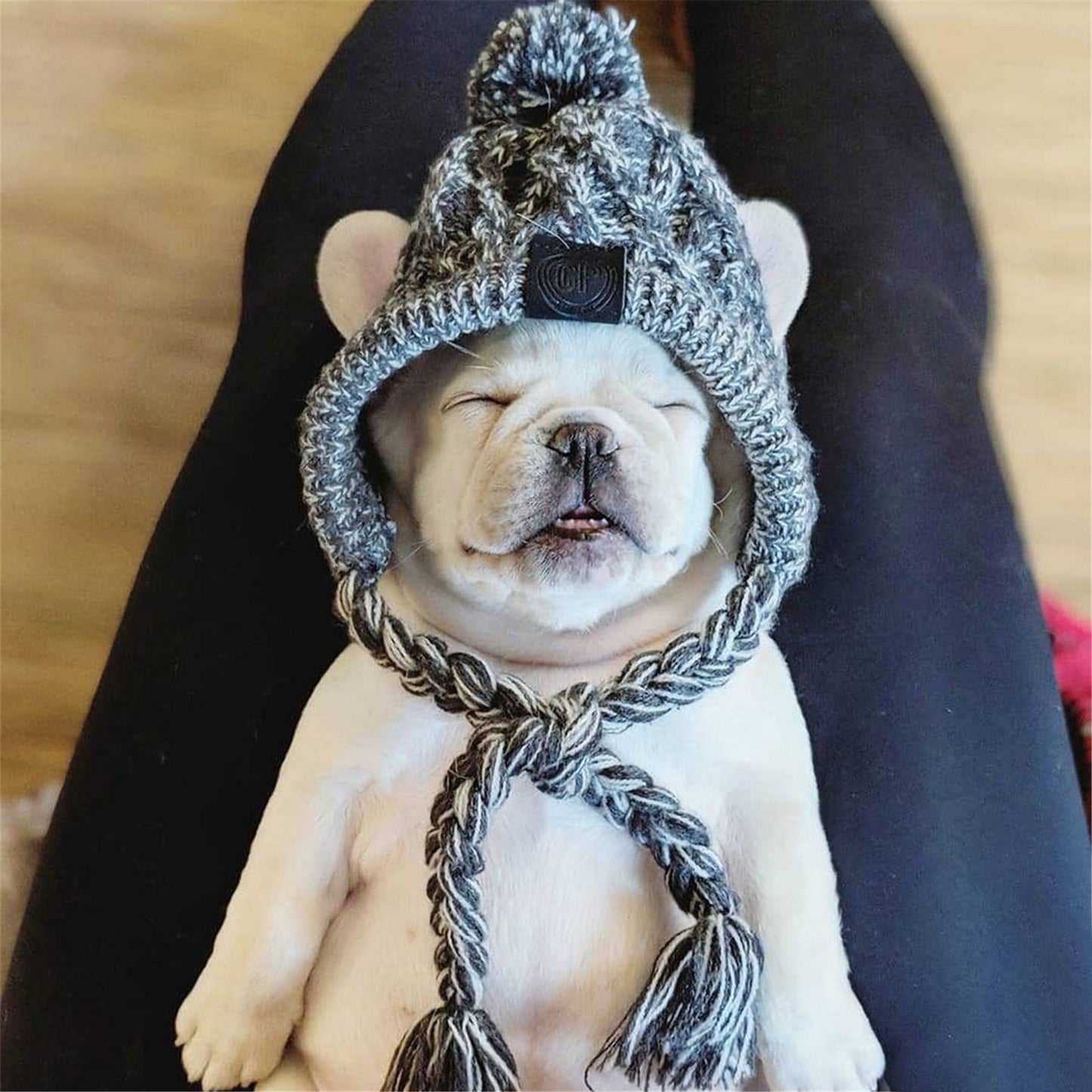 Bonnet chien douillé