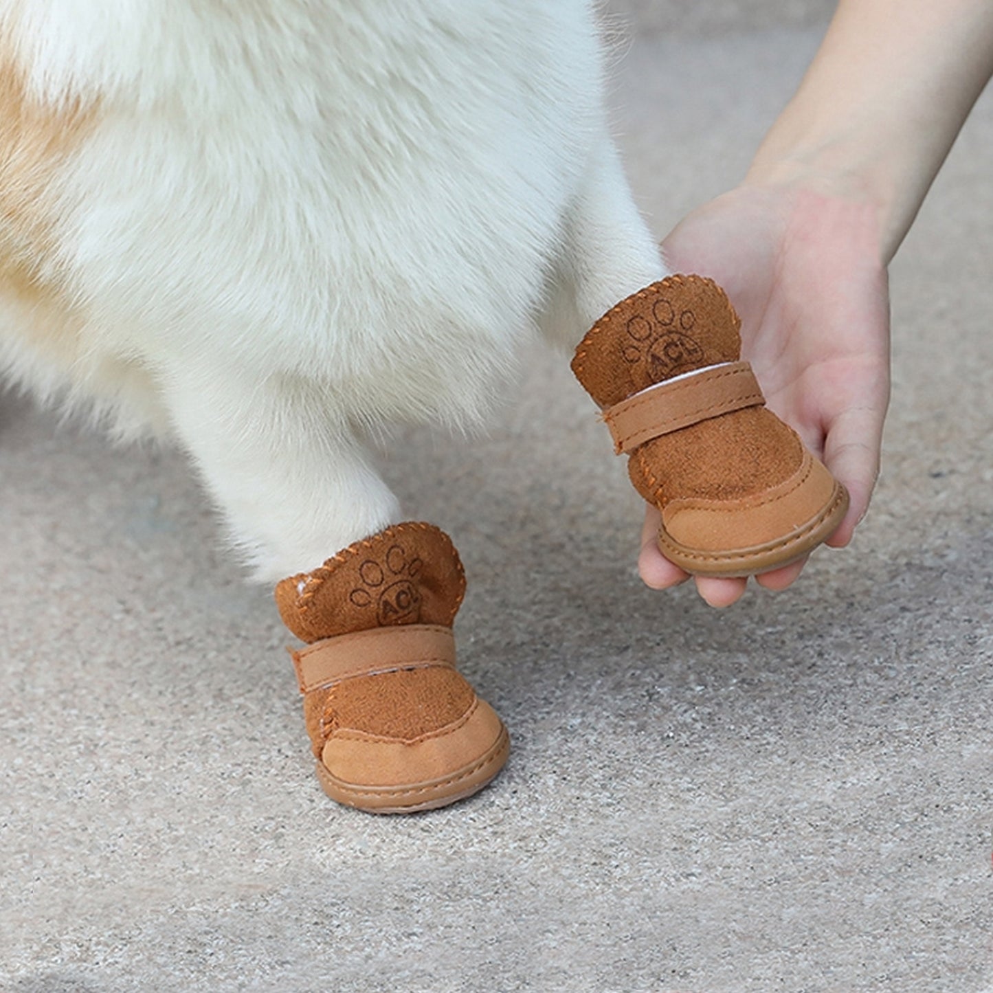 Bottines chien marron hiver