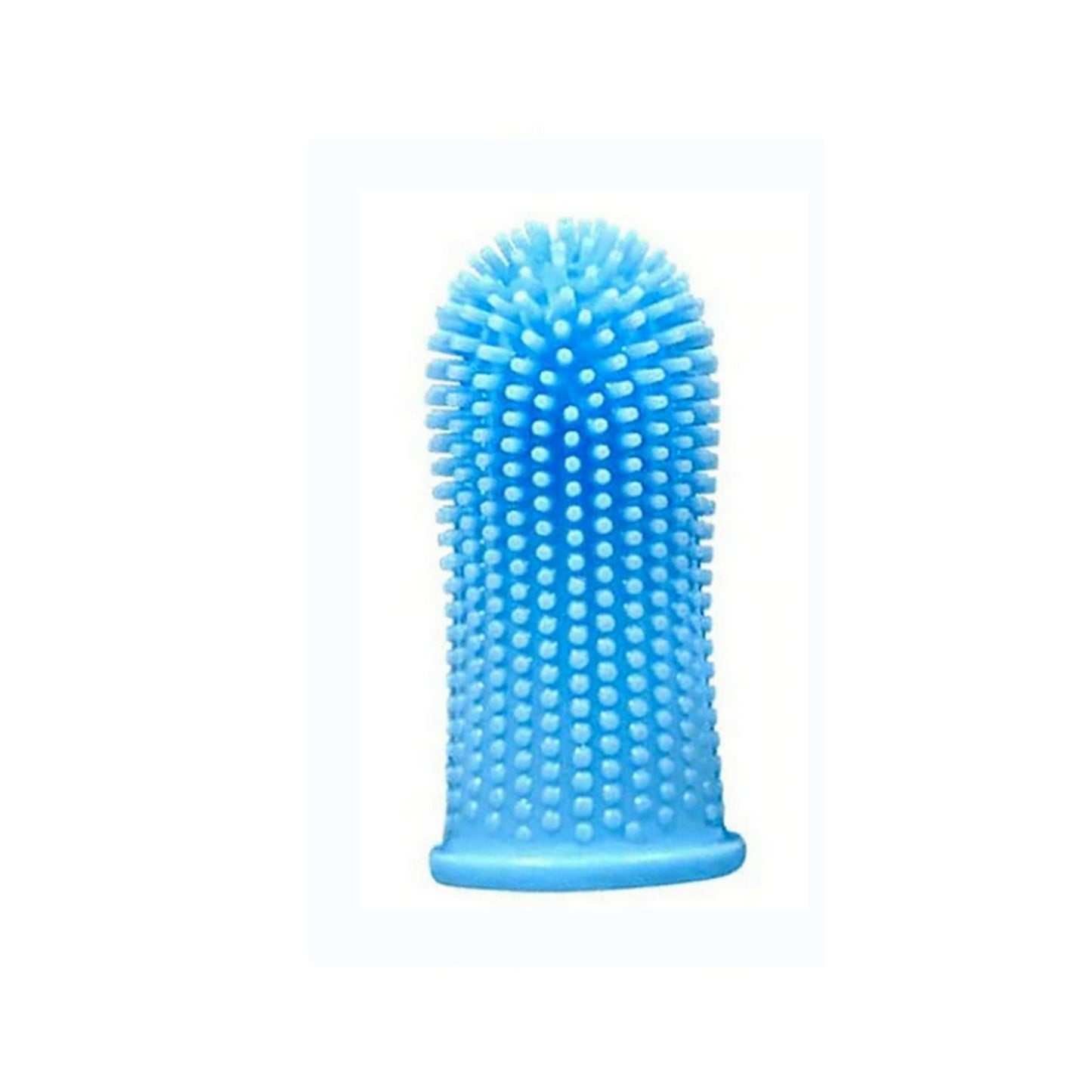 Brosse à dents pour chien bleu