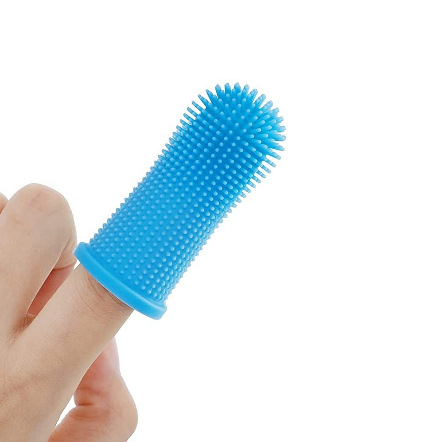 Brosse à dents picots chien