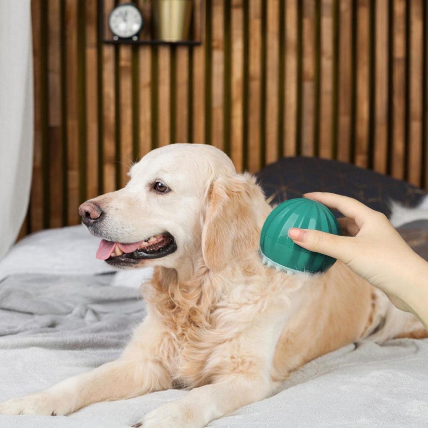 Brosse pour chien originale