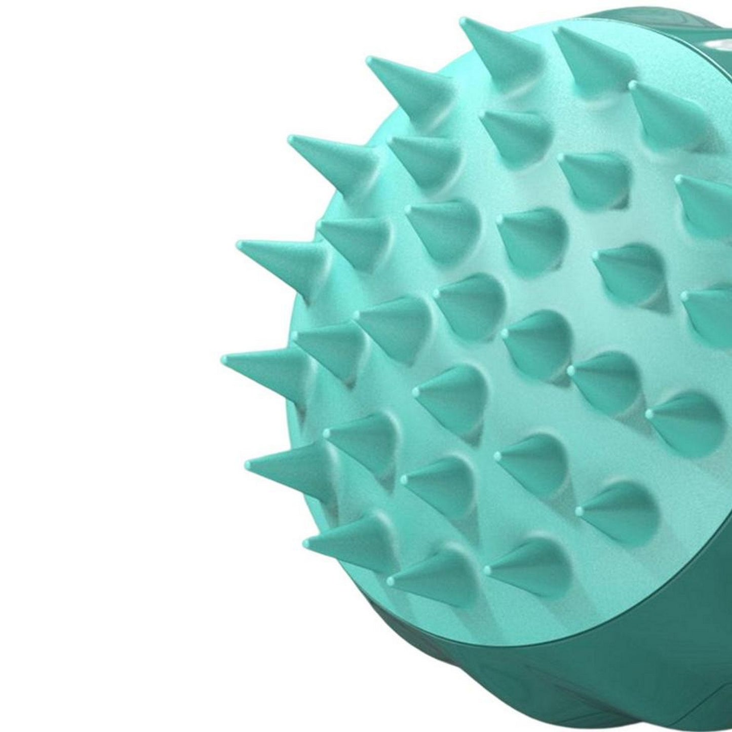 Brosse picots chien vert