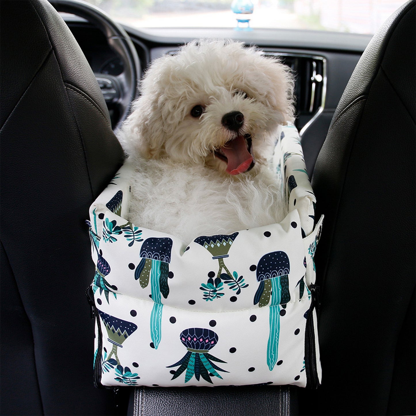 Caisse chien voiture
