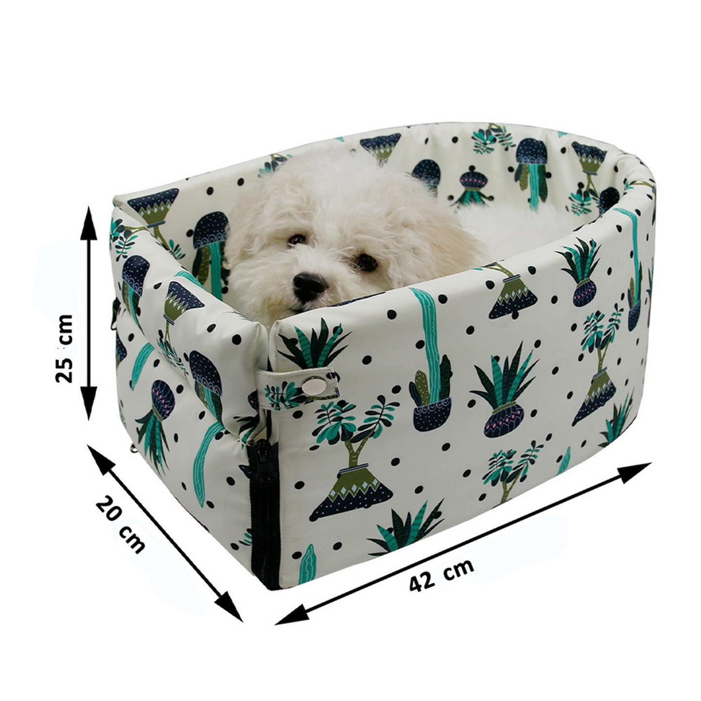 Caisse chien voyage