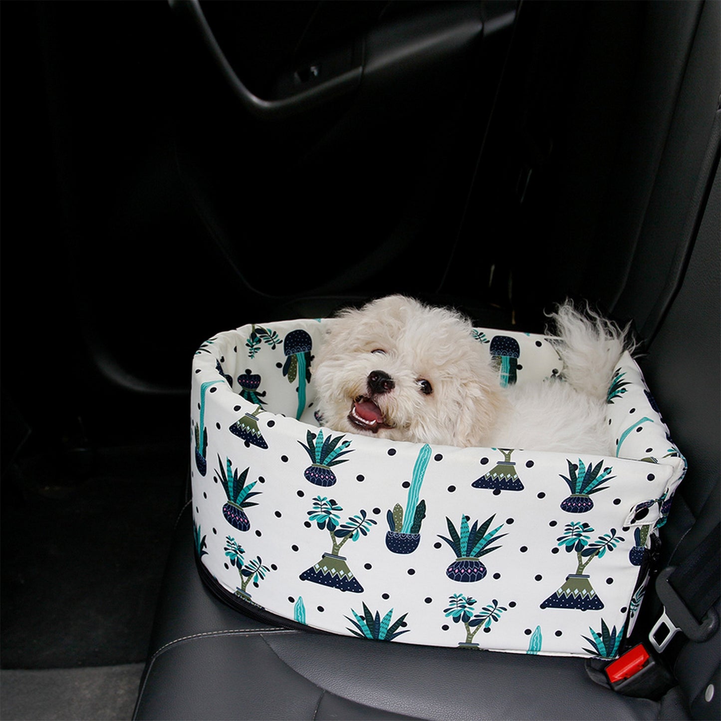 Caisse siège chien voiture