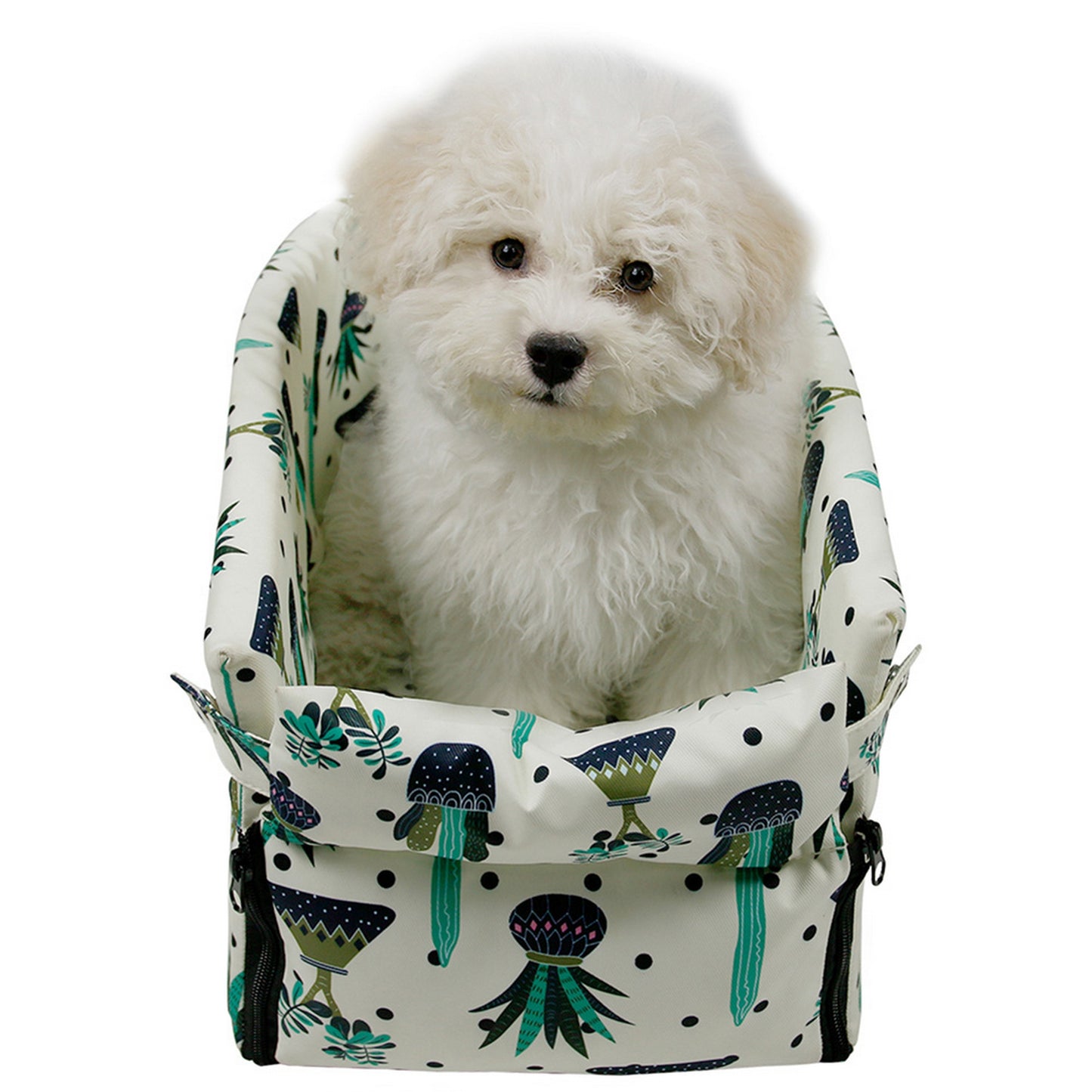 Caisse voiture chien