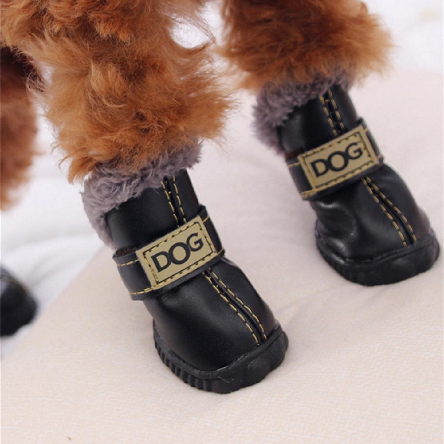 Bottes hiver chien noir