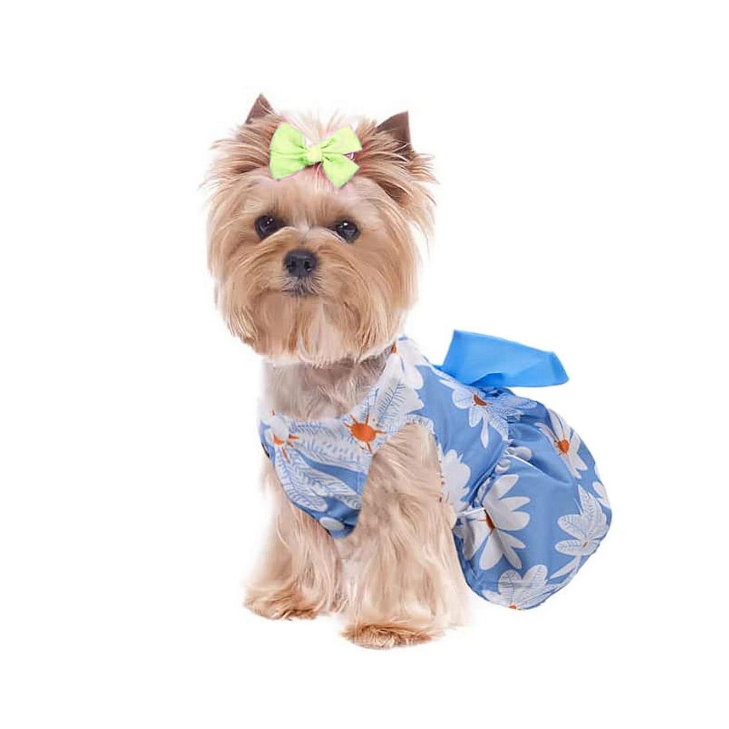 Robe bleu pour chien fleurie