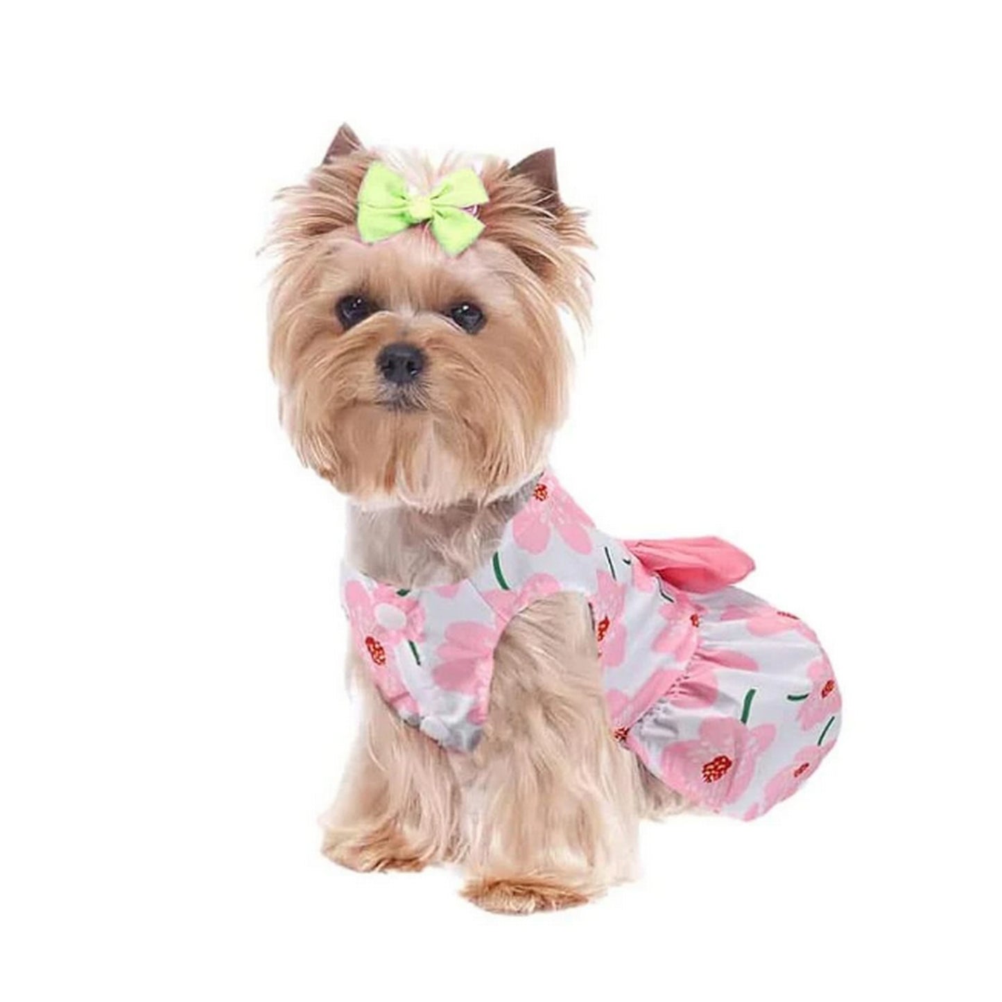 Robe pour chien rose