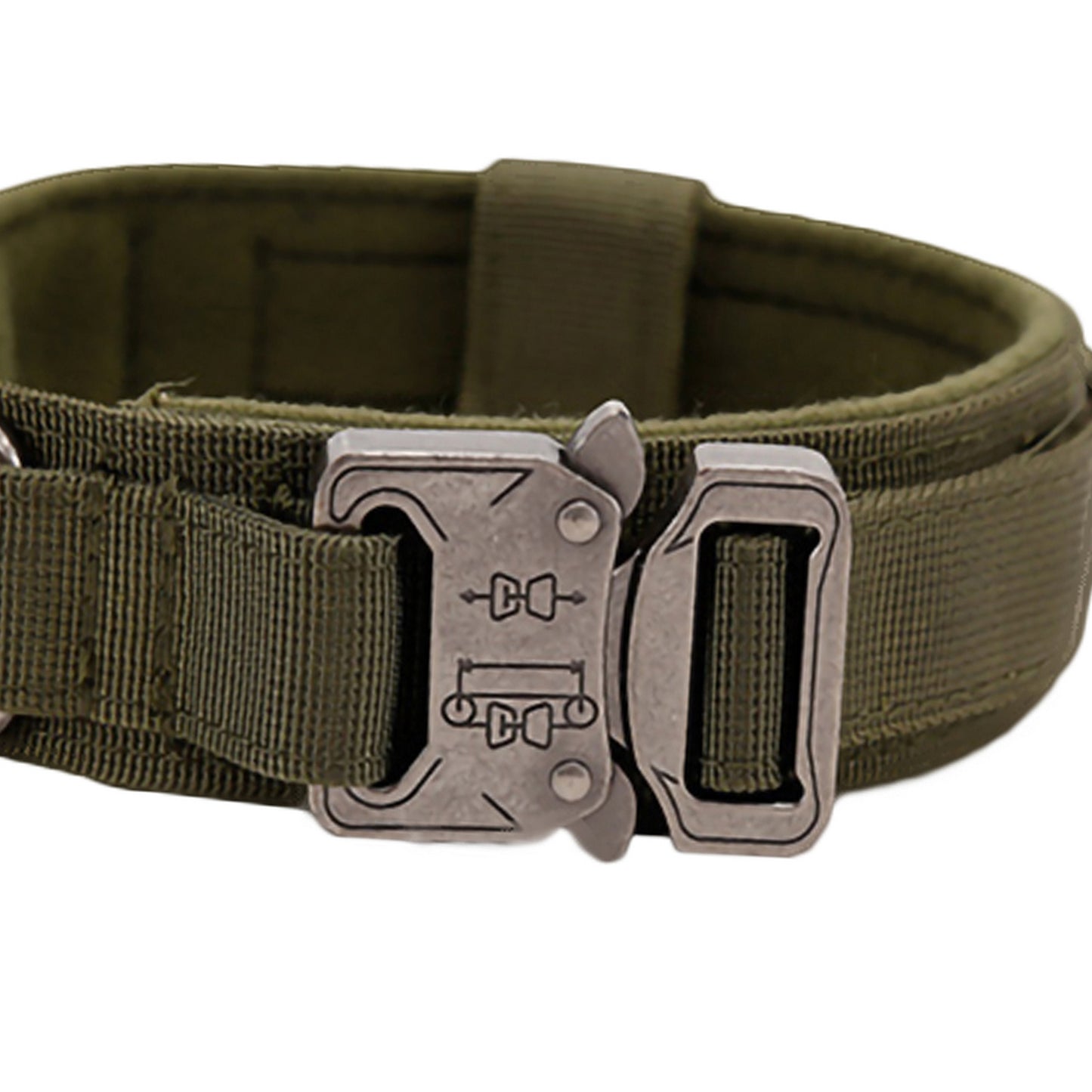 Collier boucle chien