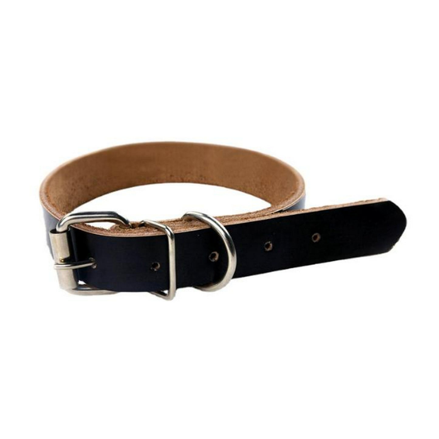 Collier chien noir