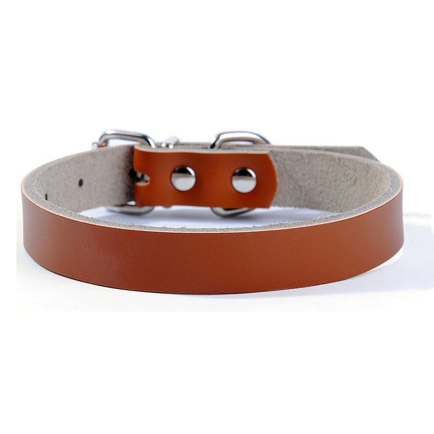 Collier cuir chien pas cher