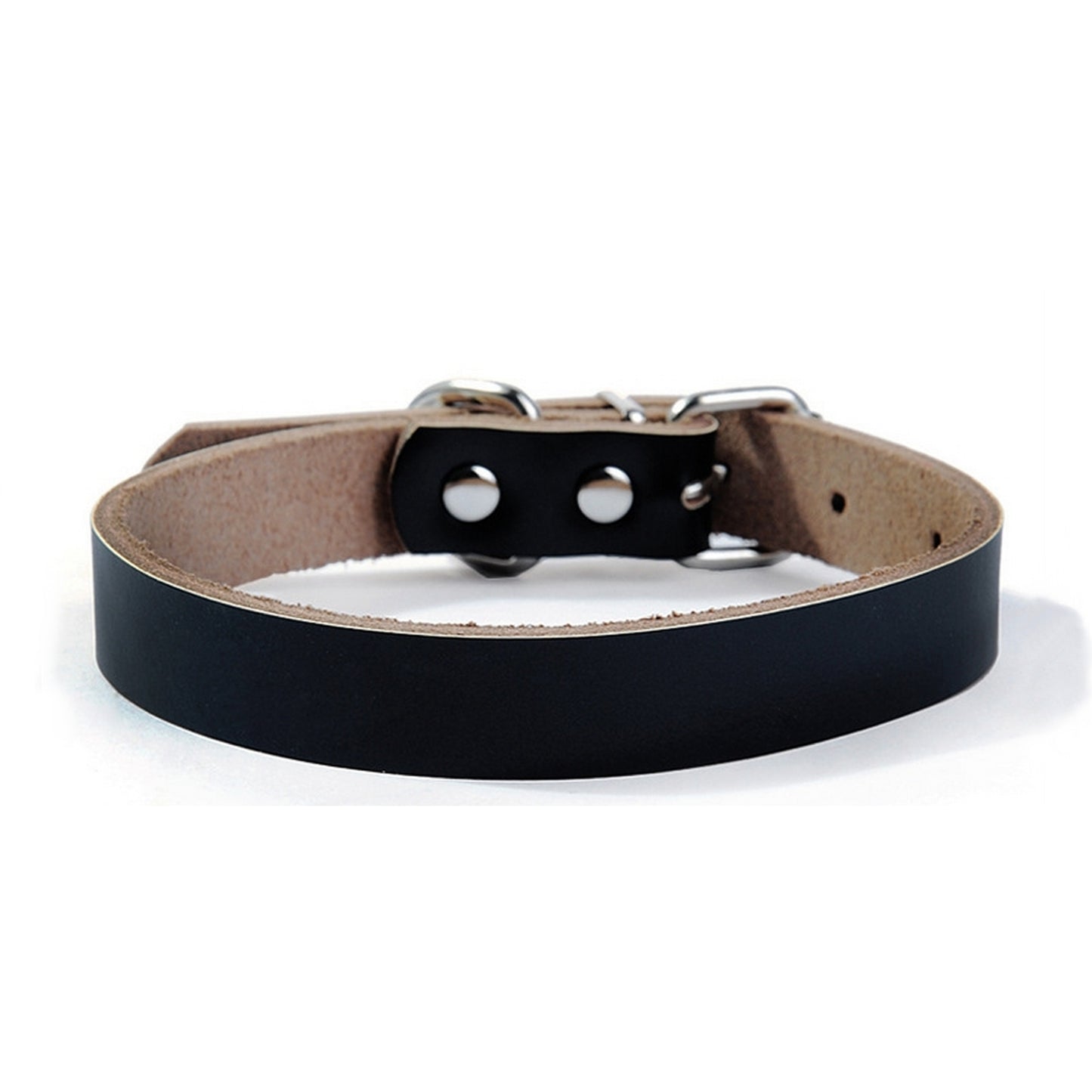 Collier noir promenade chien