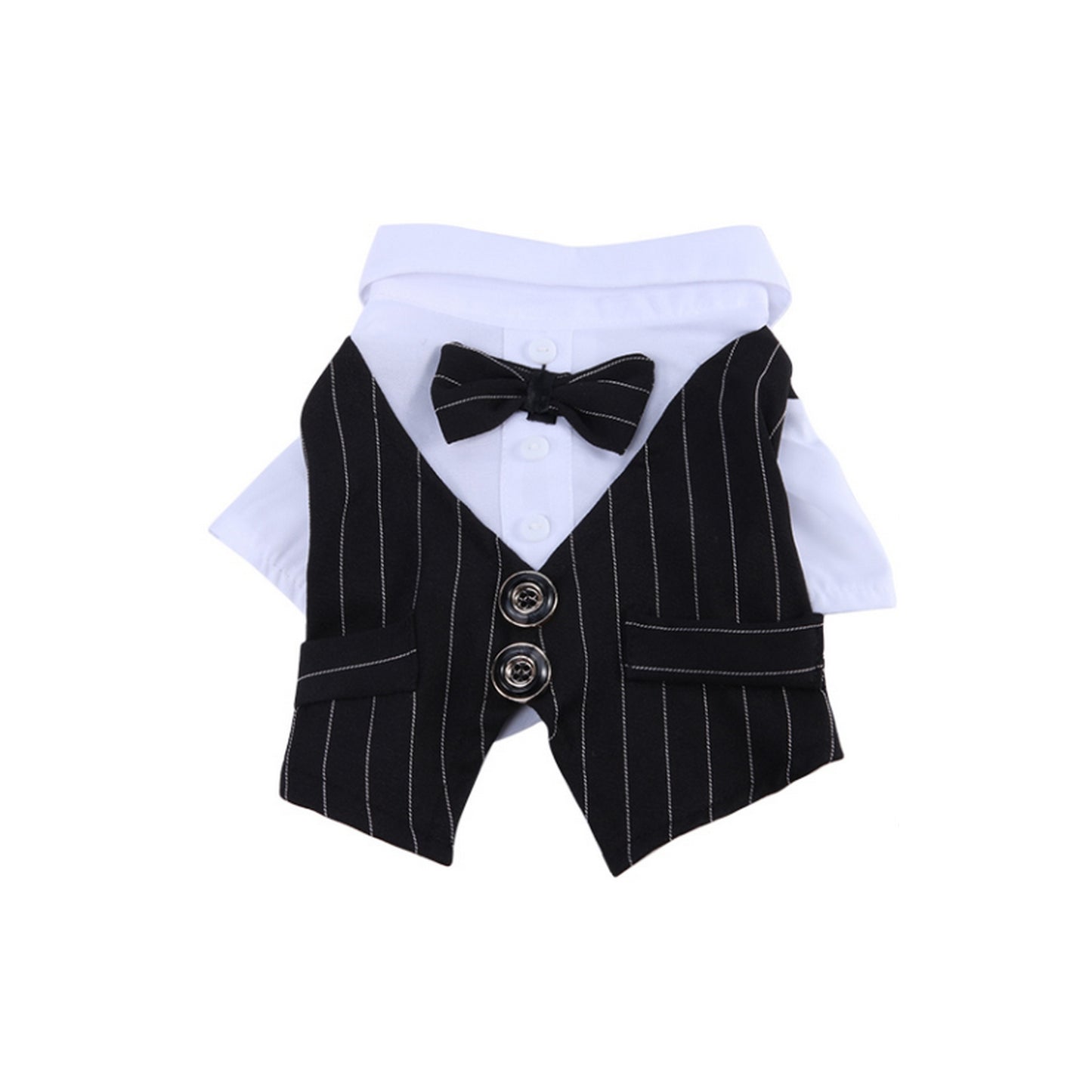 Costume chien mariage
