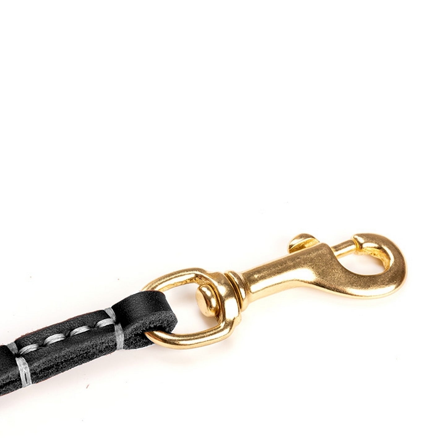 Laisse cuir noir
