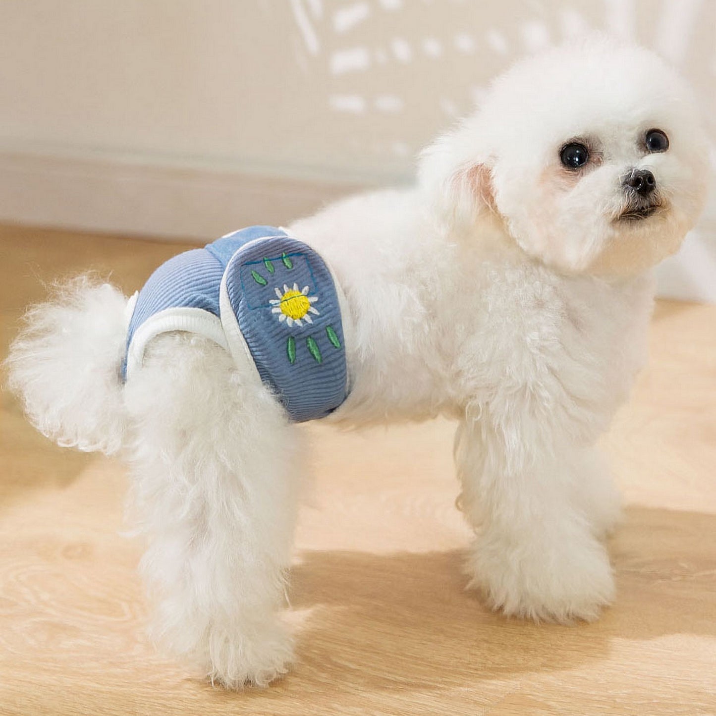 Culotte anti-pipi chien