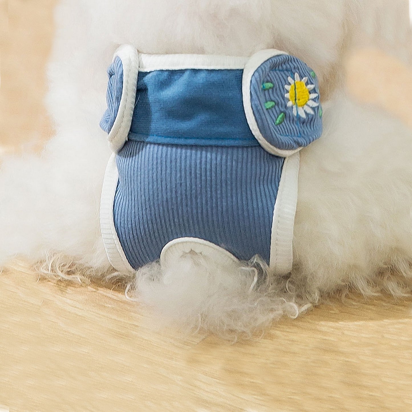 Culotte règles chien