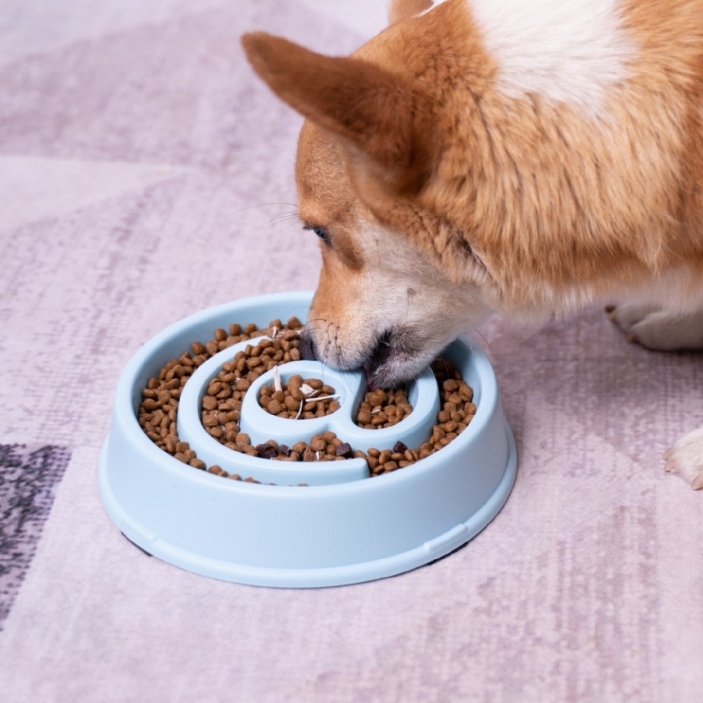 Gamelle arobase bleu