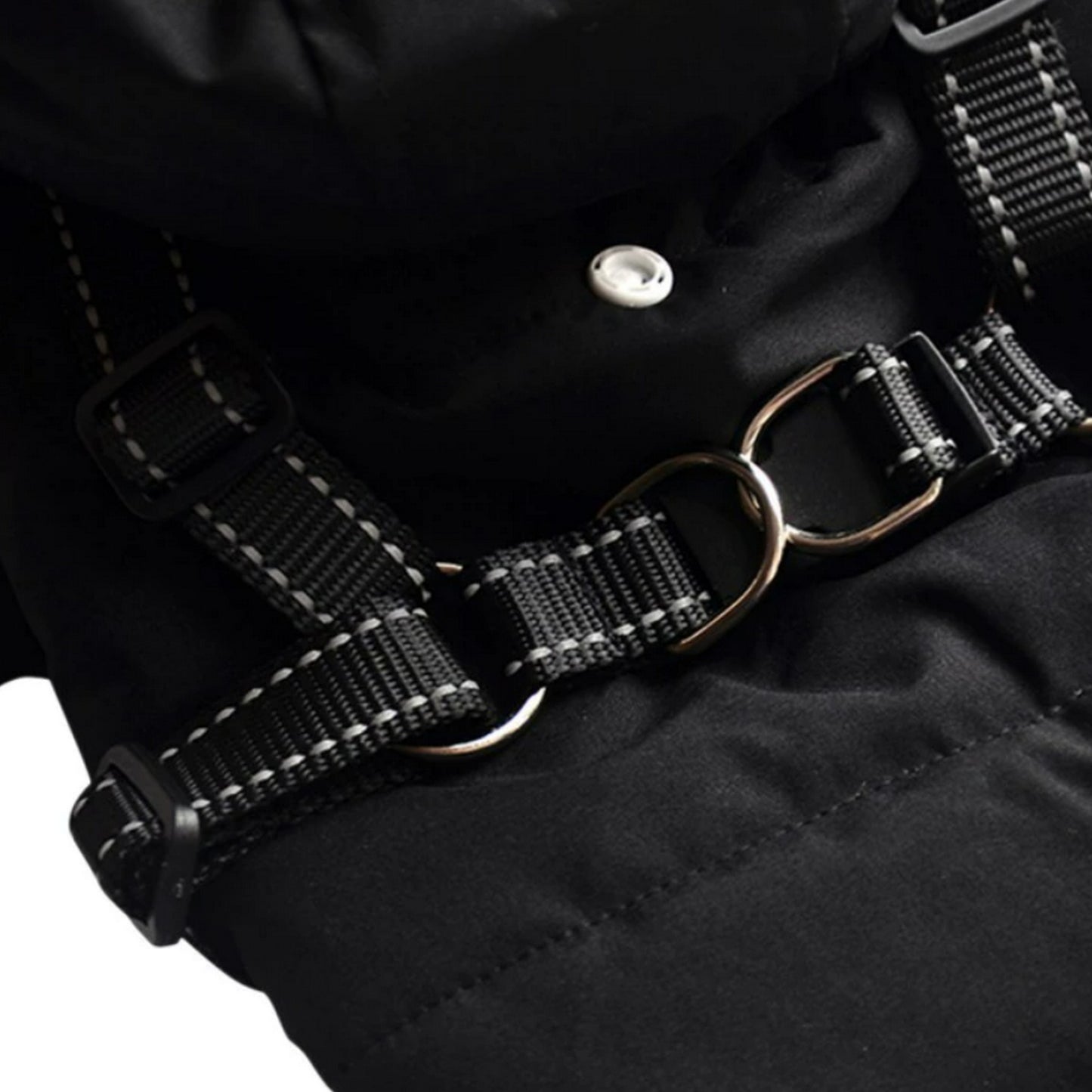 Manteau harnais noir