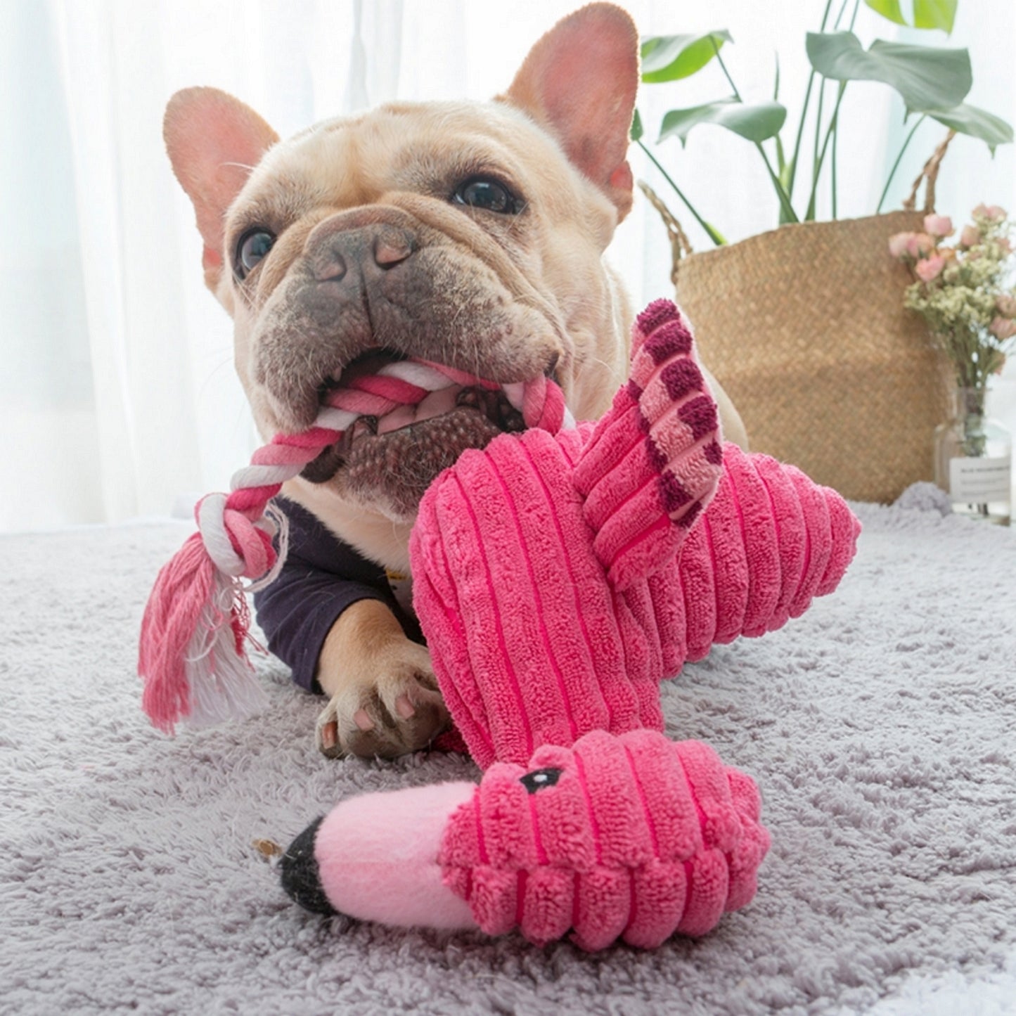 Peluche flamand rose pop