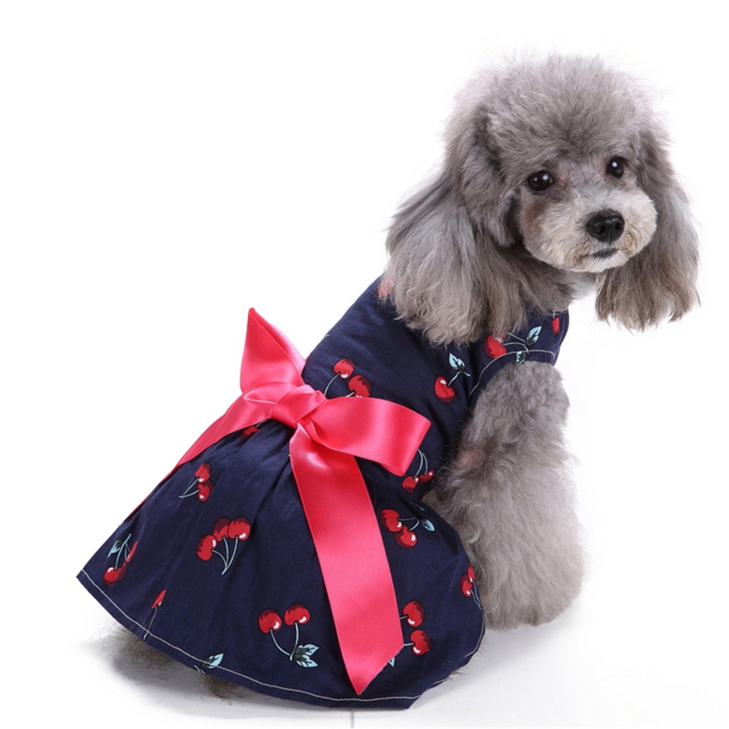 Robe pour chien motifs cerises