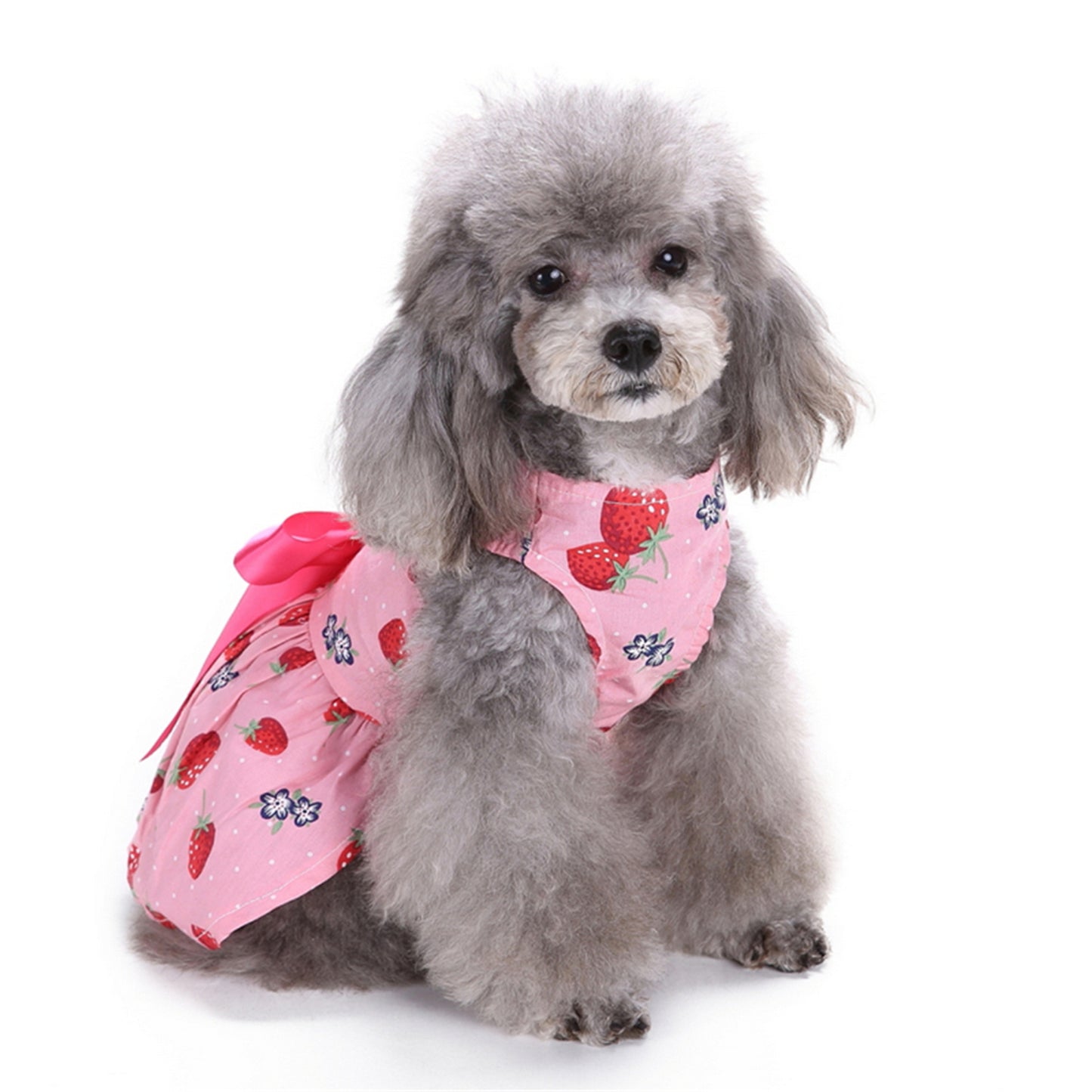 Robe fraises
