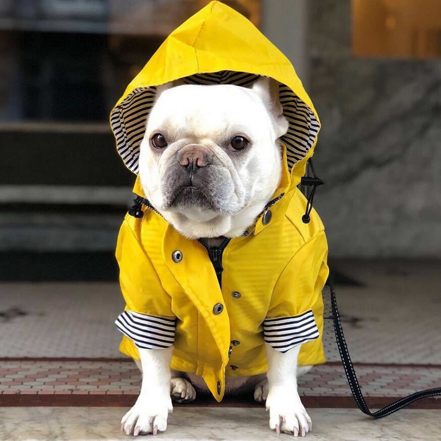 Imperméable breton