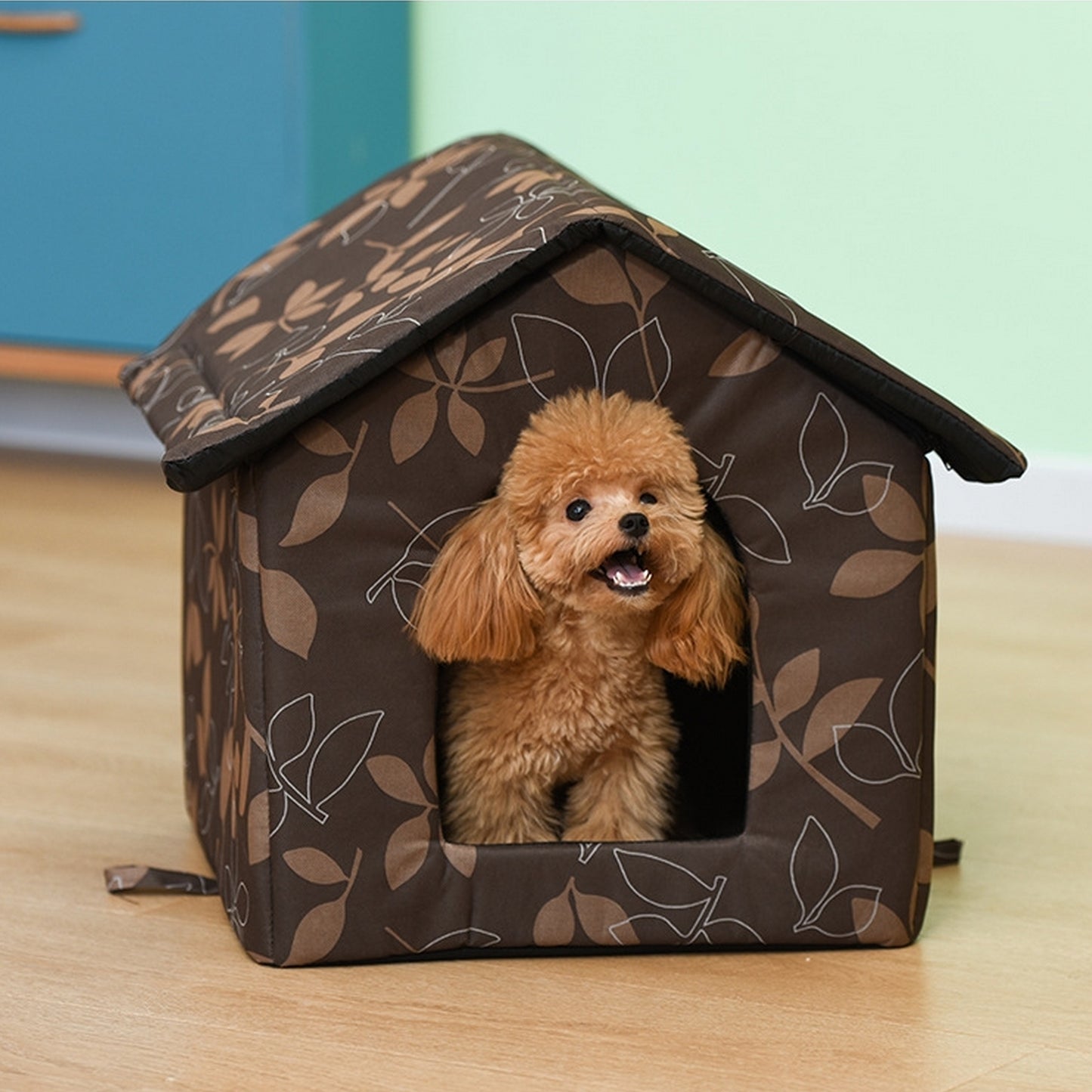 Maison pour chien