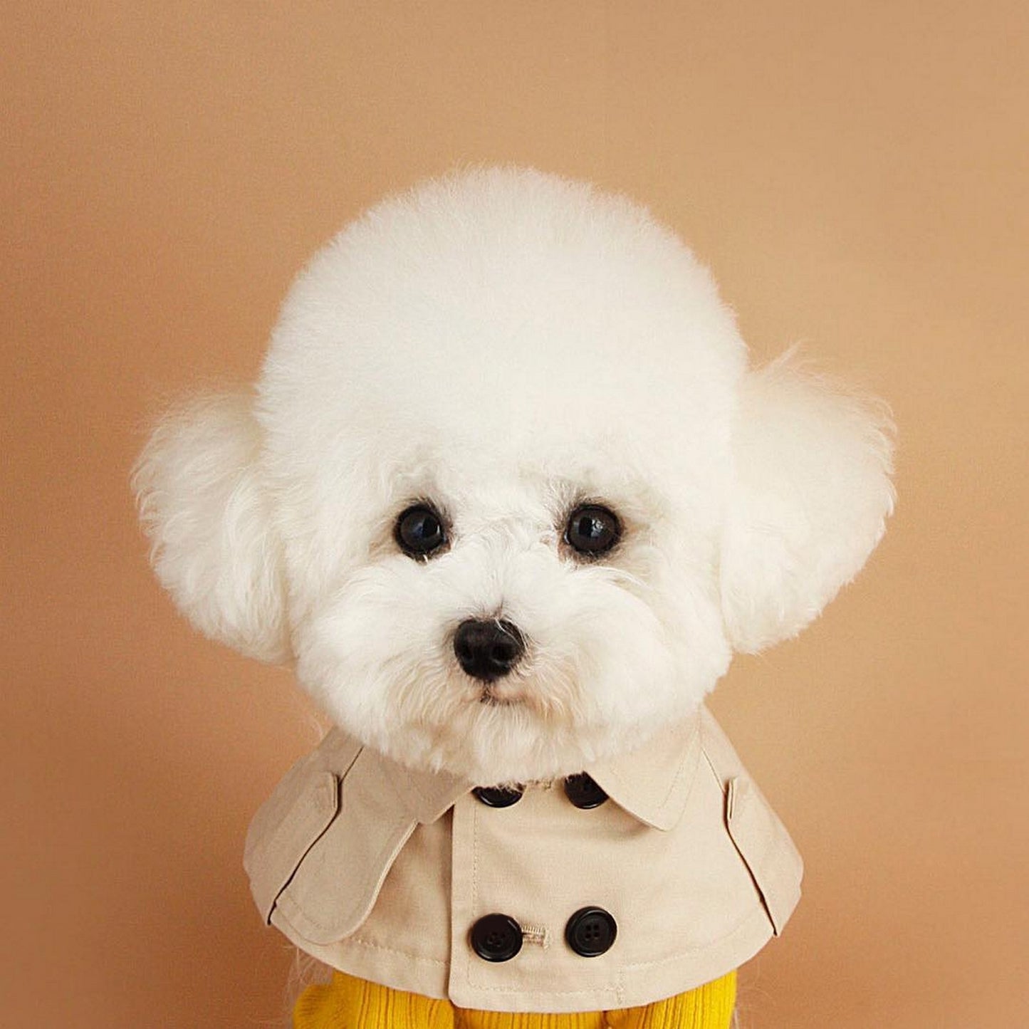 Manteau pour chien chic