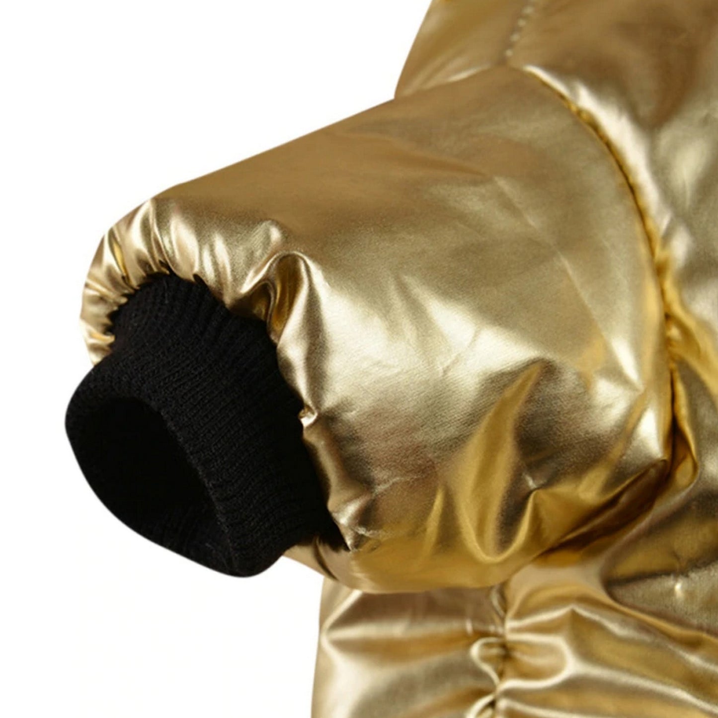 Manteau chien tendance