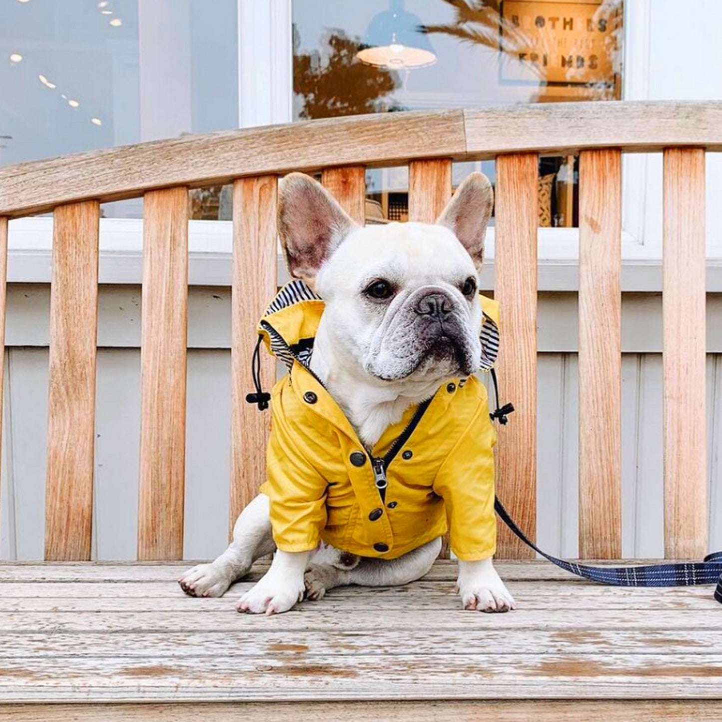 Imperméable breton