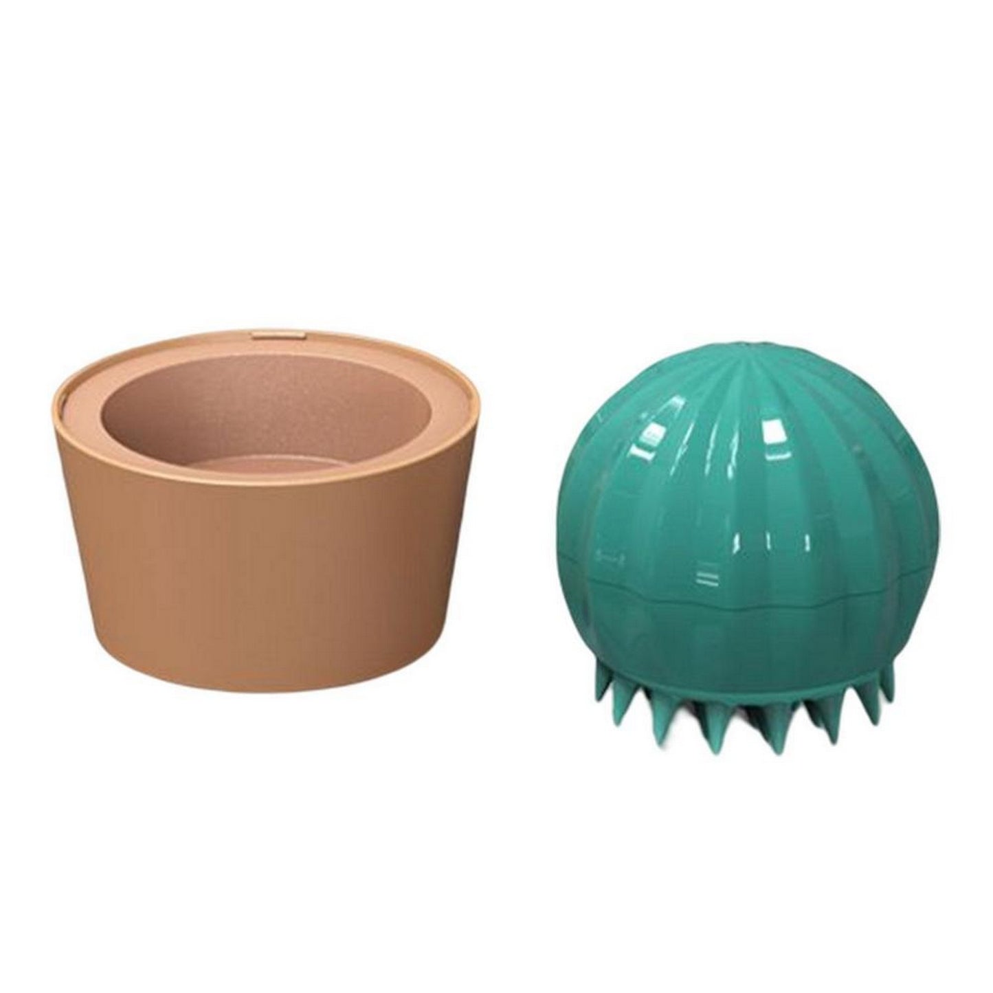 Brosse cactus chien