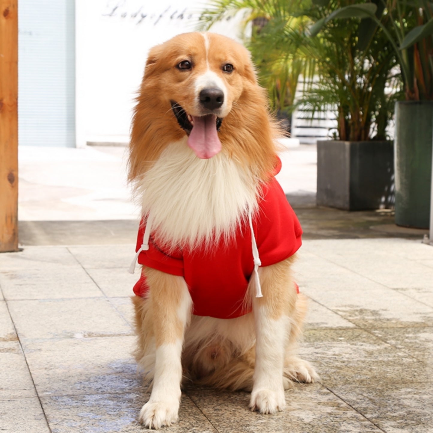 Sweat capuche rouge