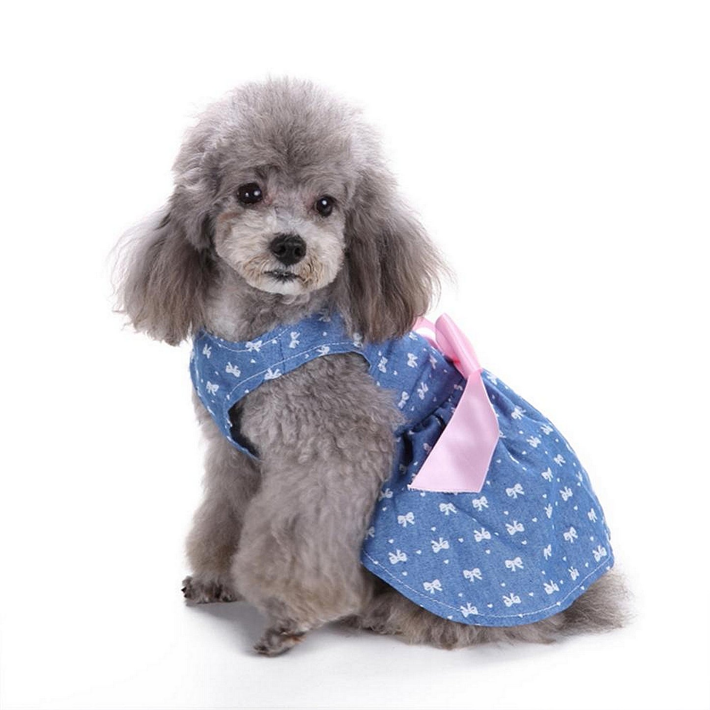 Robe d'été pour chien bleu