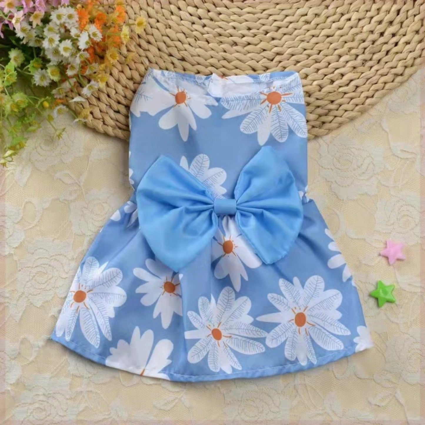 Robe chien bleu avec nœud