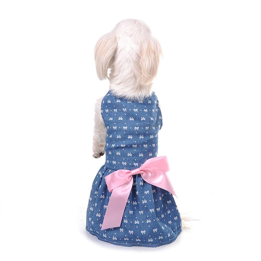 Robe pour chien avec nœud
