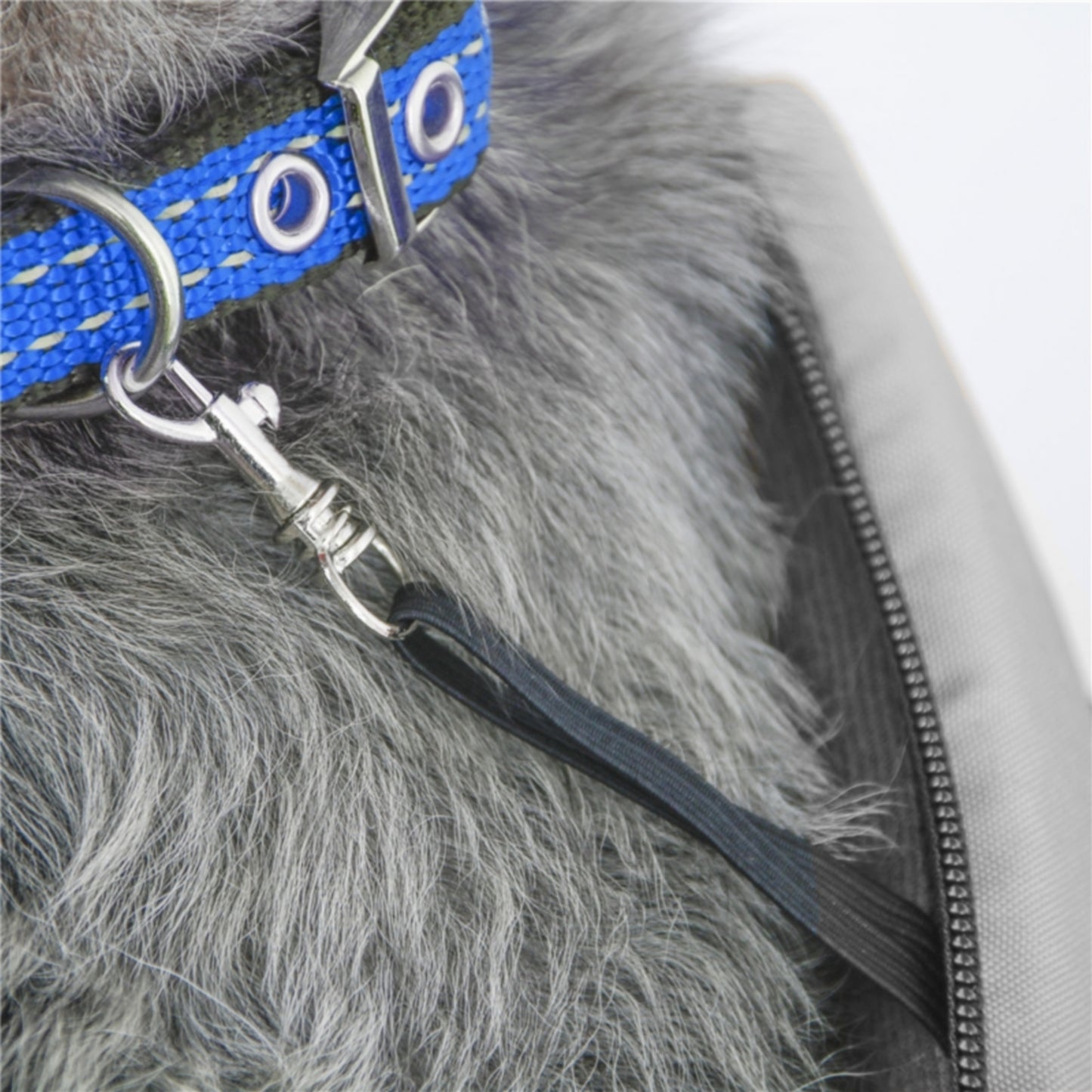 Sac de voyage attache chien