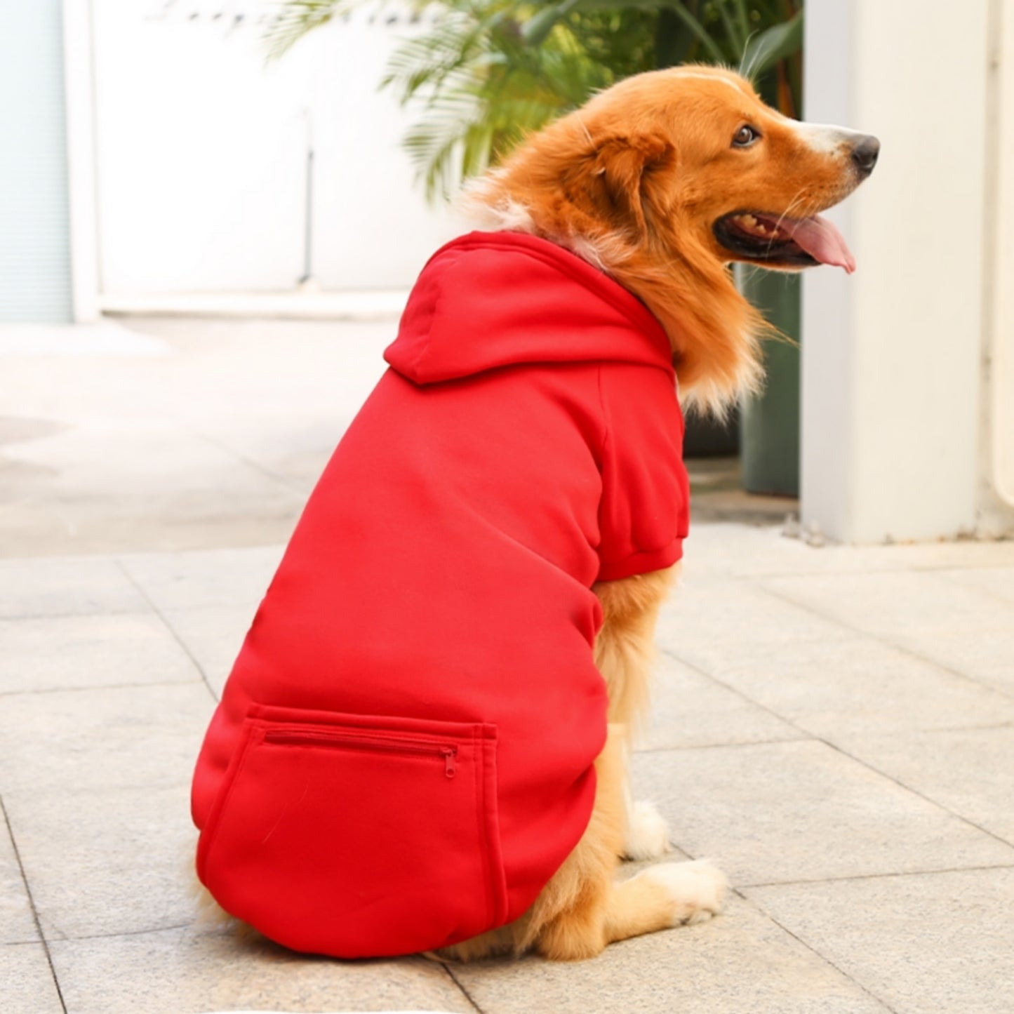 Sweat capuche rouge