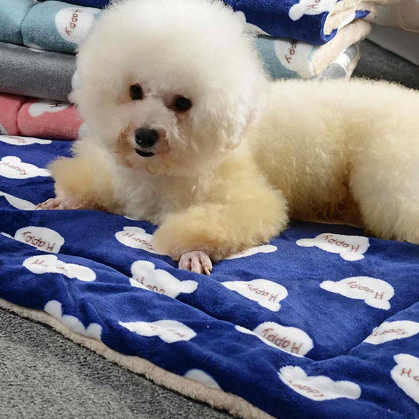 Tapis confort pour chien